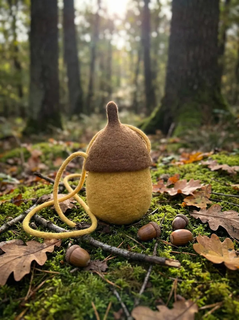 Hand Felted Acorn Crossbody Bag